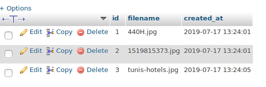 dynamic files download